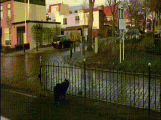 m_152929.gif