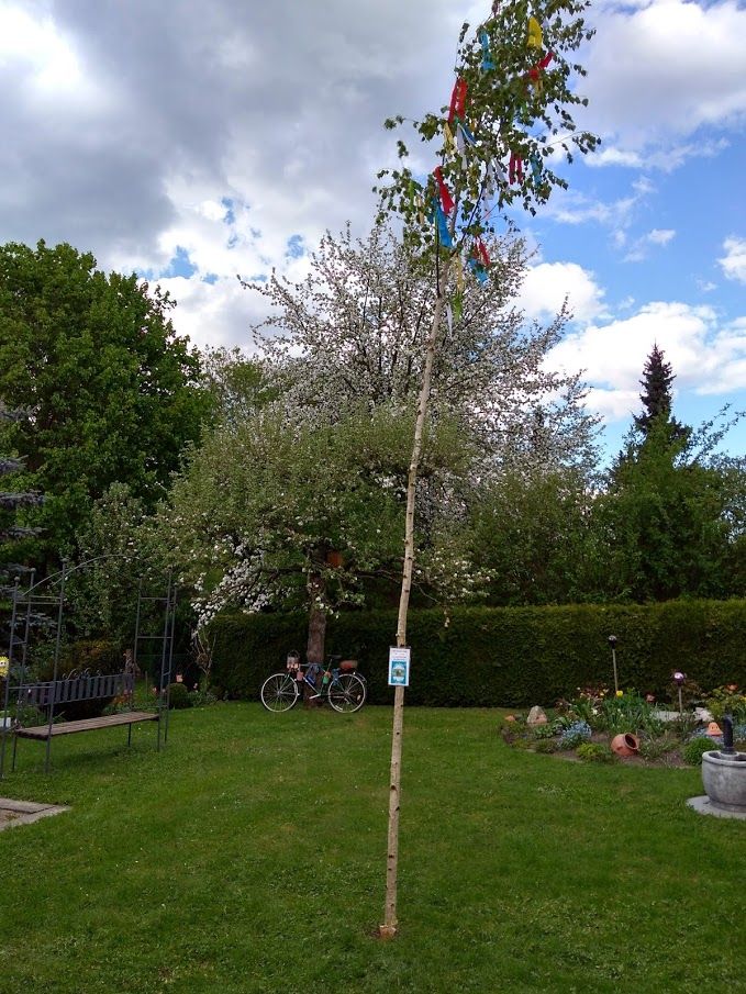 Maibaum 2018.jpg