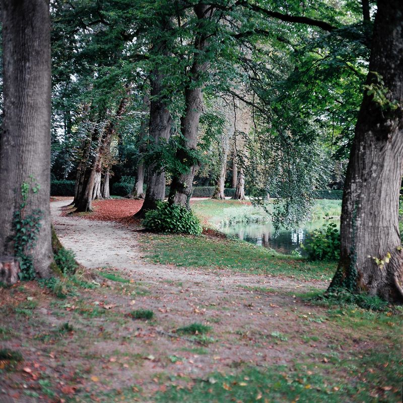 Marcus Bunyan - Fontainebleau (2018) 5.jpg