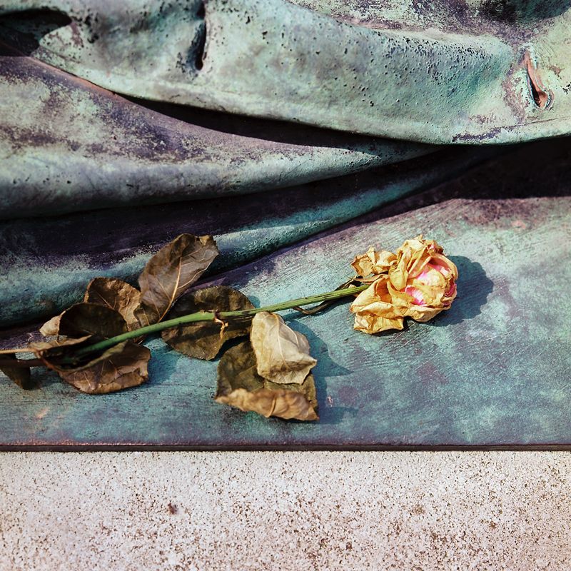 Marcus Bunyan - Fontainebleau (2018).jpg