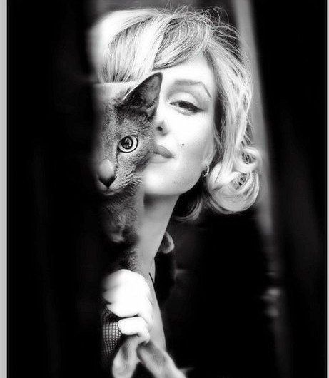 Marilyn Monroe cat.jpg