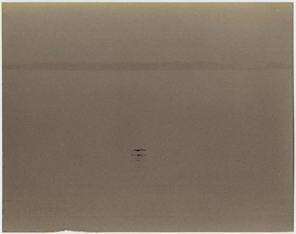 Masao Yamamoto.jpg