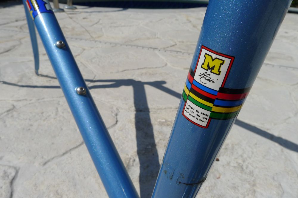 MASI-CALI-L1010551.jpg