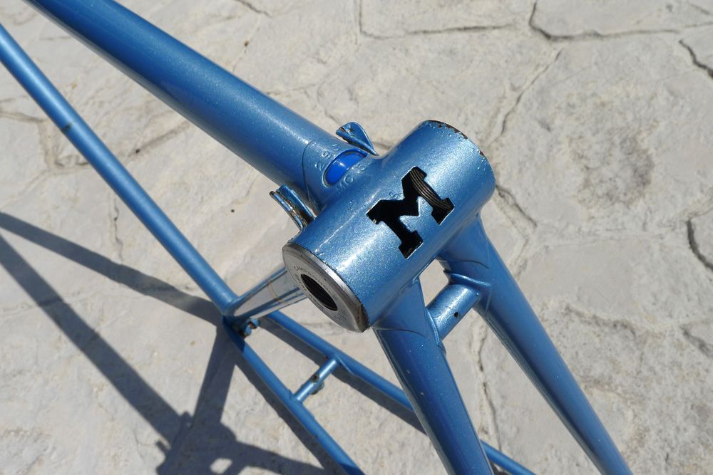 MASI-CALI-L1010557.jpg