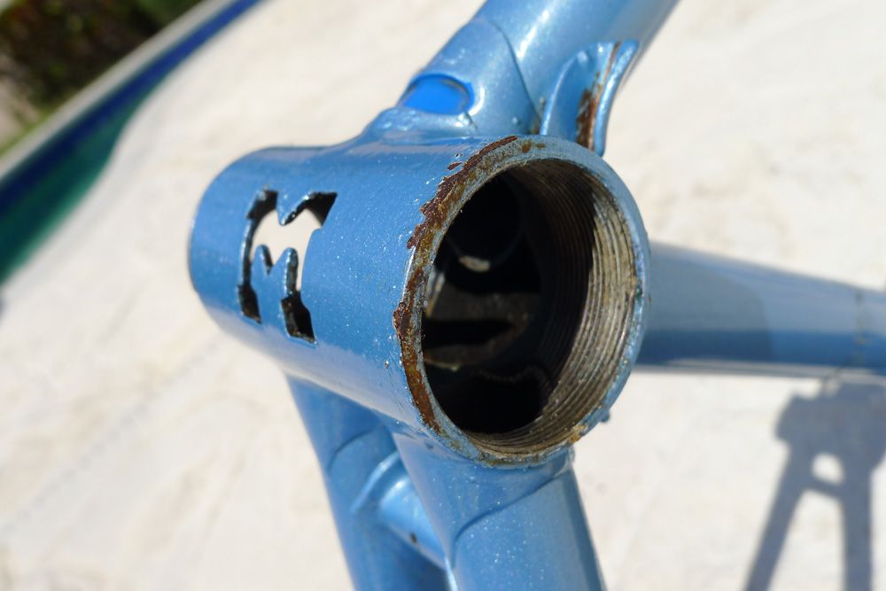 MASI-CALI-L1010558.jpg