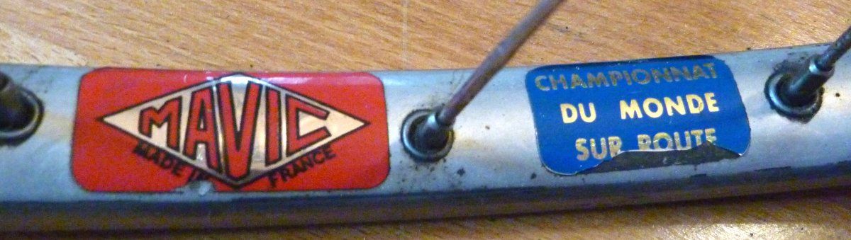 Mavic 1.JPG