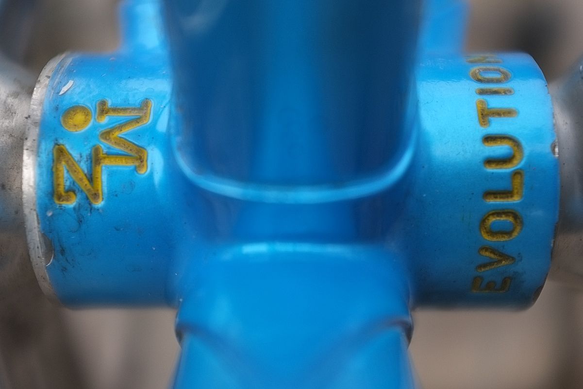 Maza-evolutionBB1.jpg