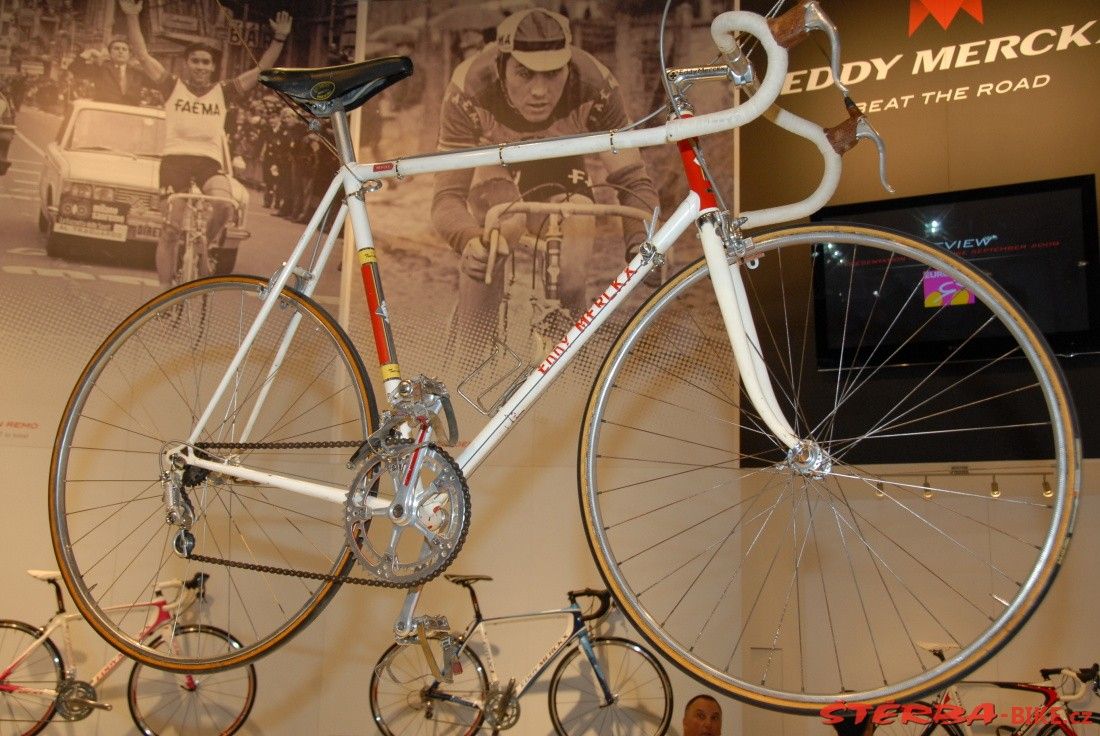 Merckx.jpg