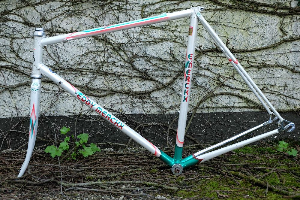 Merckx.jpg