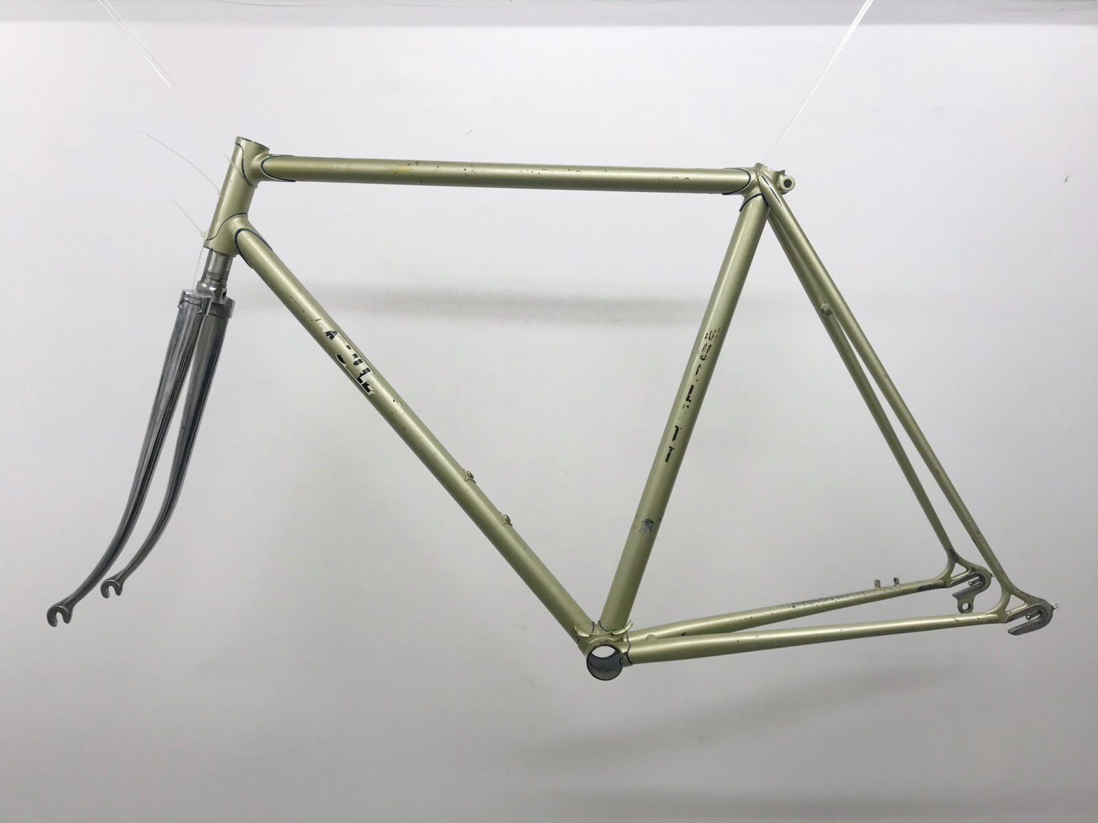 MikeMullettFrame-001.jpg