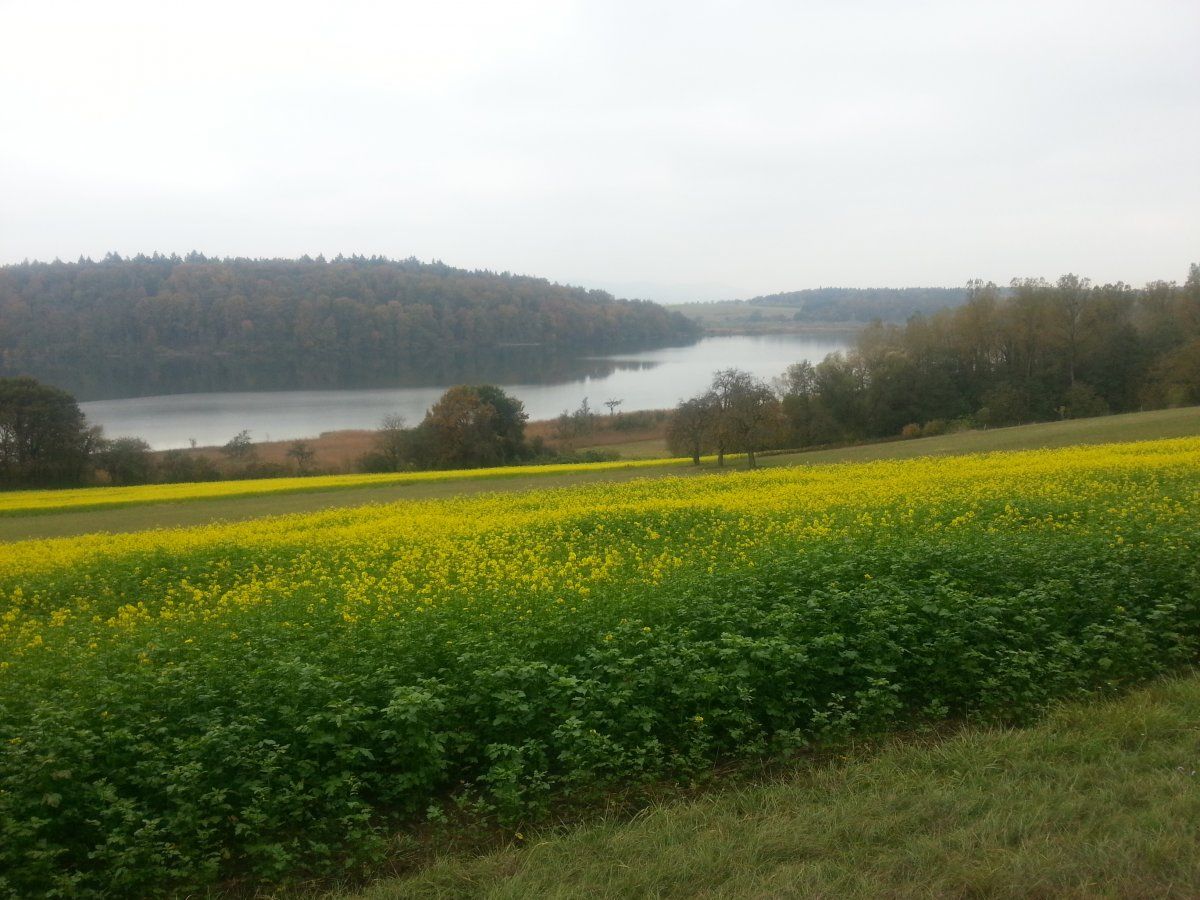 Mindelsee.jpg