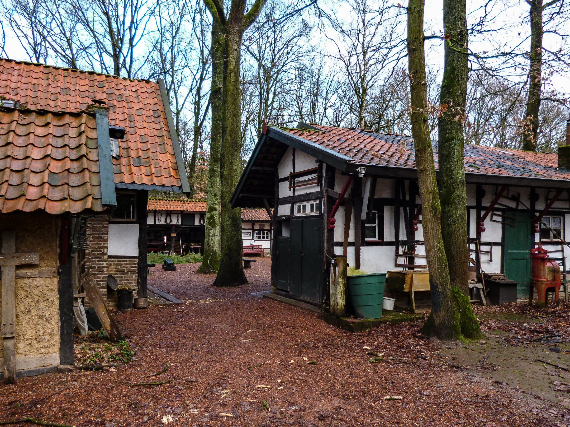 Mit dem Giant durch Heide und Sumpf Bild 3 - Kopie.jpg