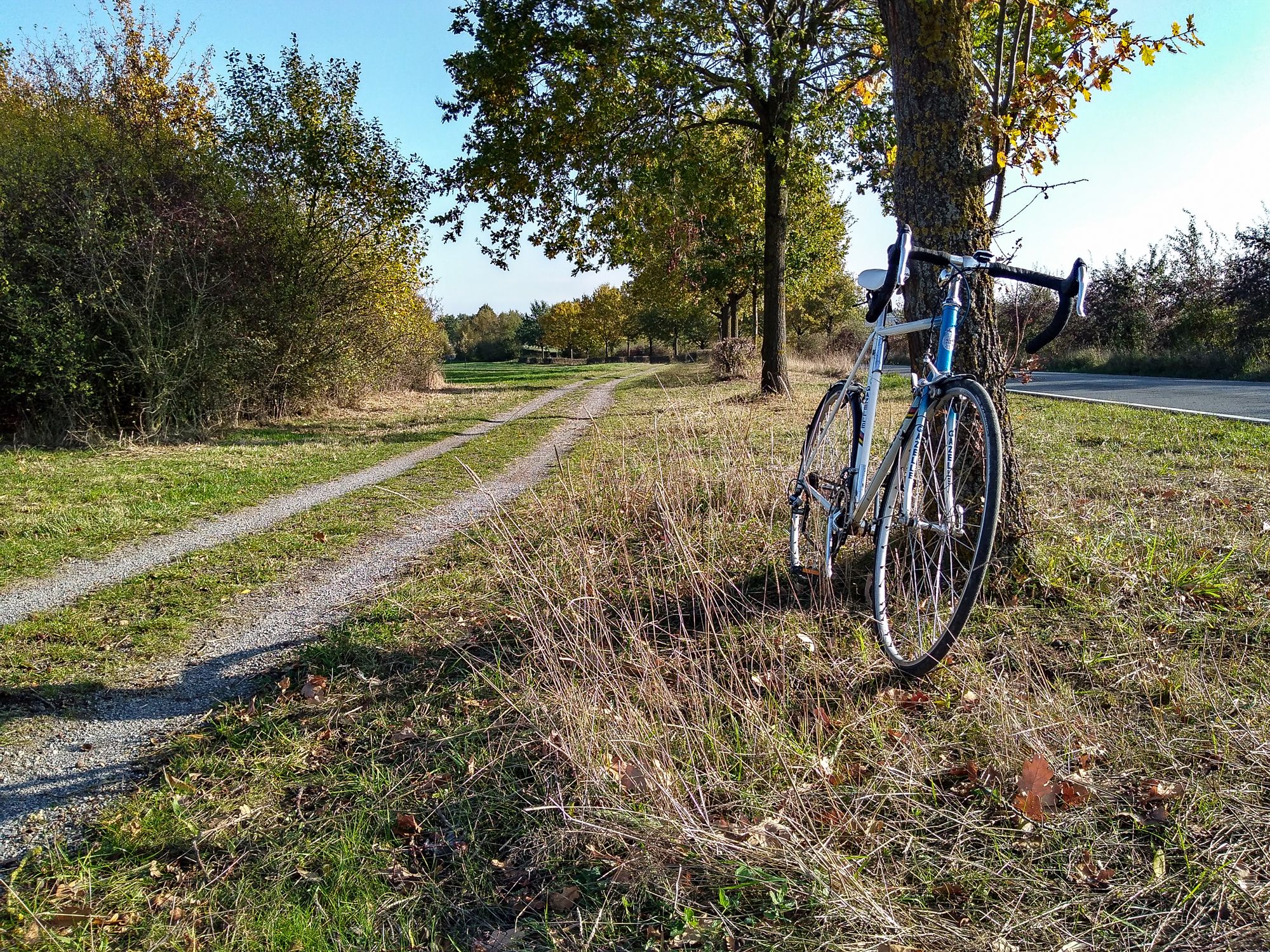 Mit-der-Gazelle-unterwegs-04.11.18.jpg