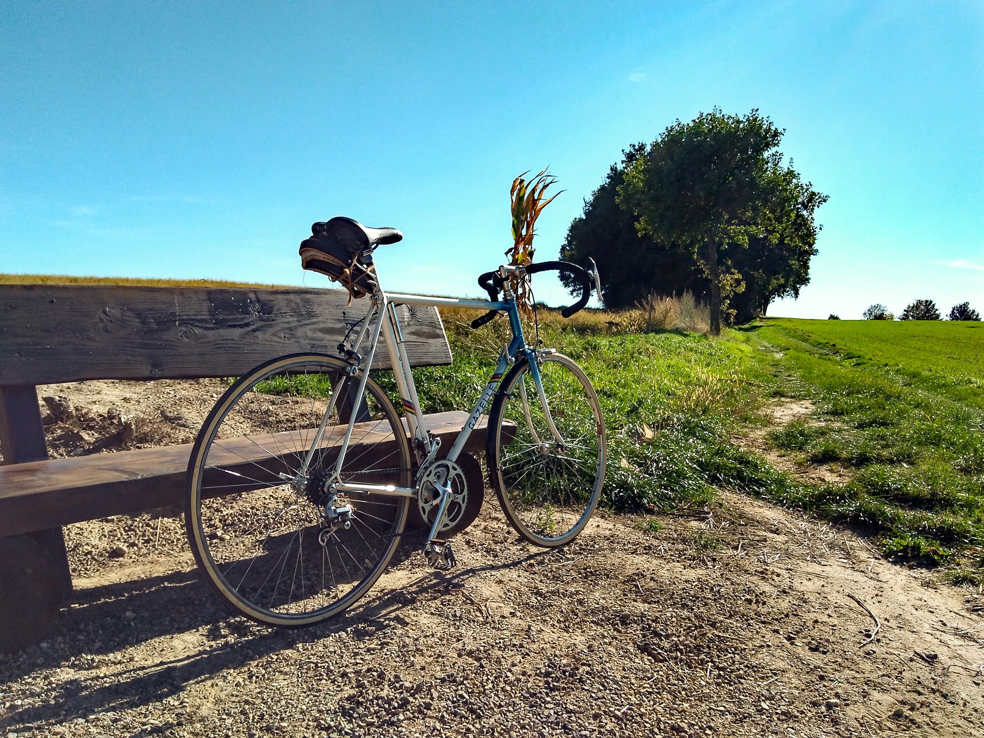 Mit-der-Gazelle-unterwegs-13.10.18.jpg