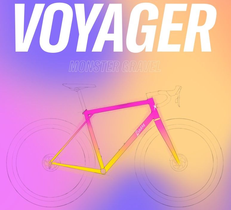 Mod. Voyager.jpg