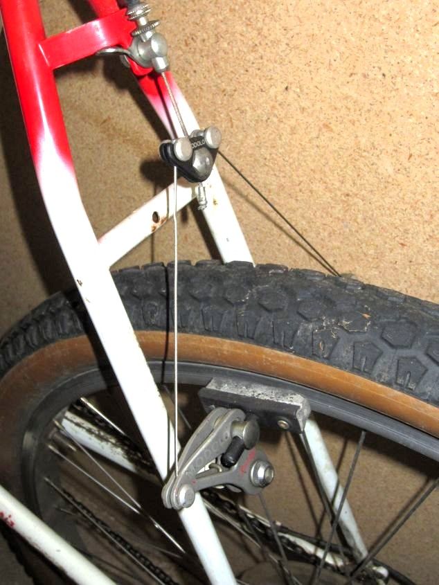 Modolo Canti.JPG