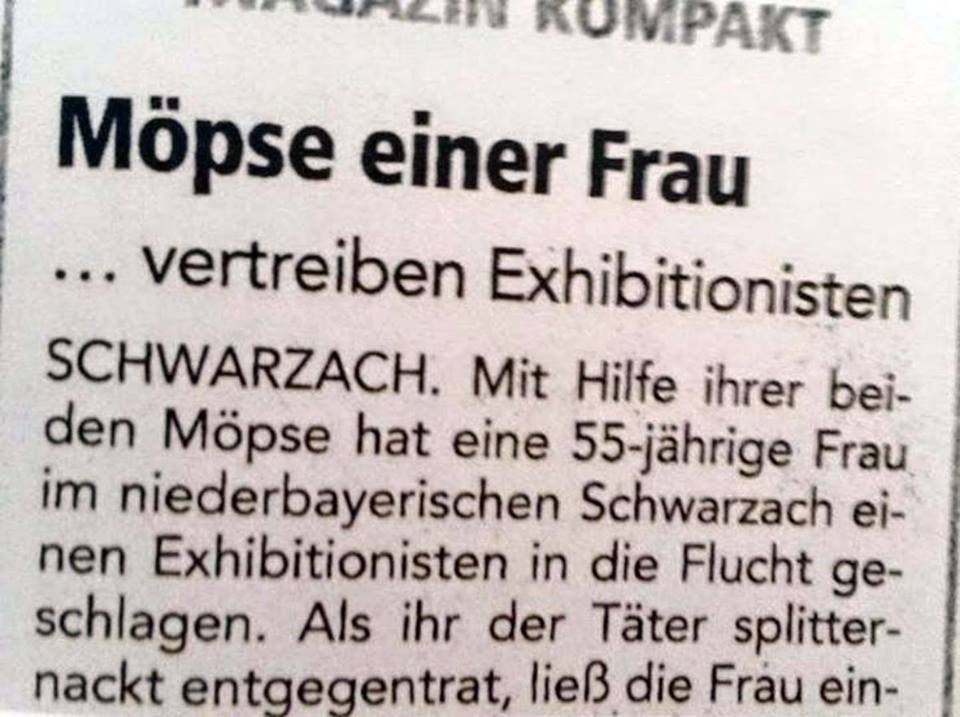 Moepse.jpg