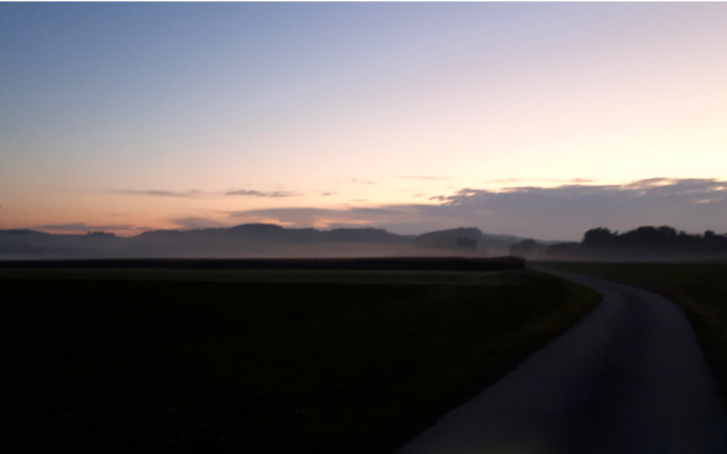 morgen01.jpg