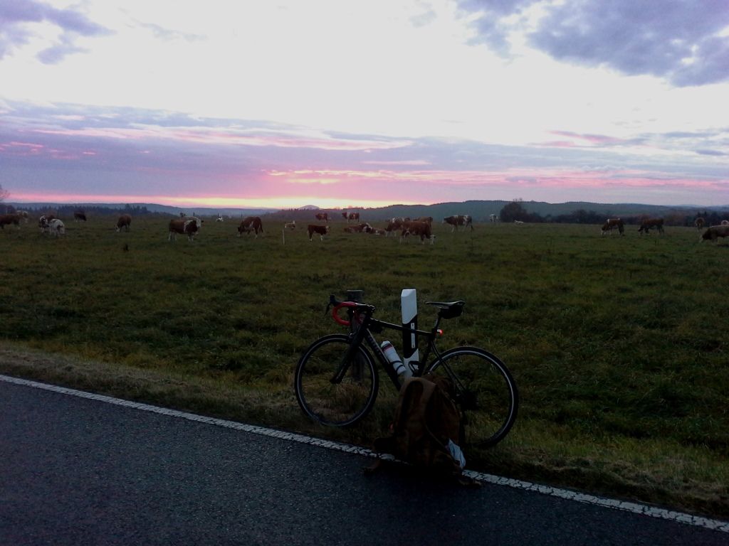 morgenrot.jpg