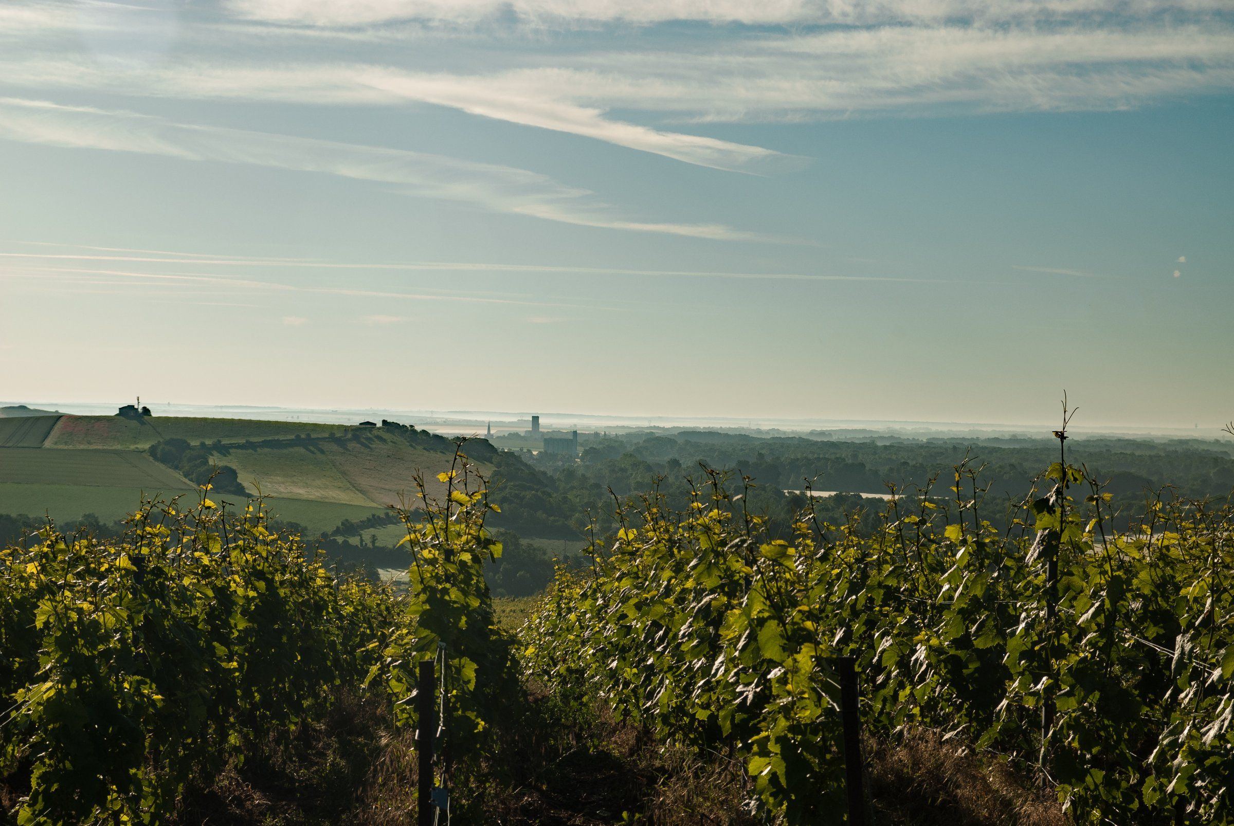 Morgensttimmung über dem Marnetal bei Ay - Kopie (2).jpg