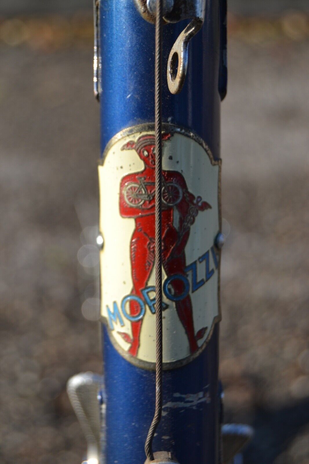 Morozzi_10.jpg