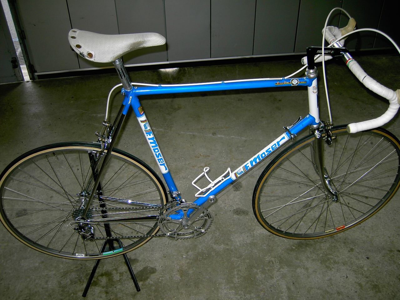 Moser ICS (19).JPG