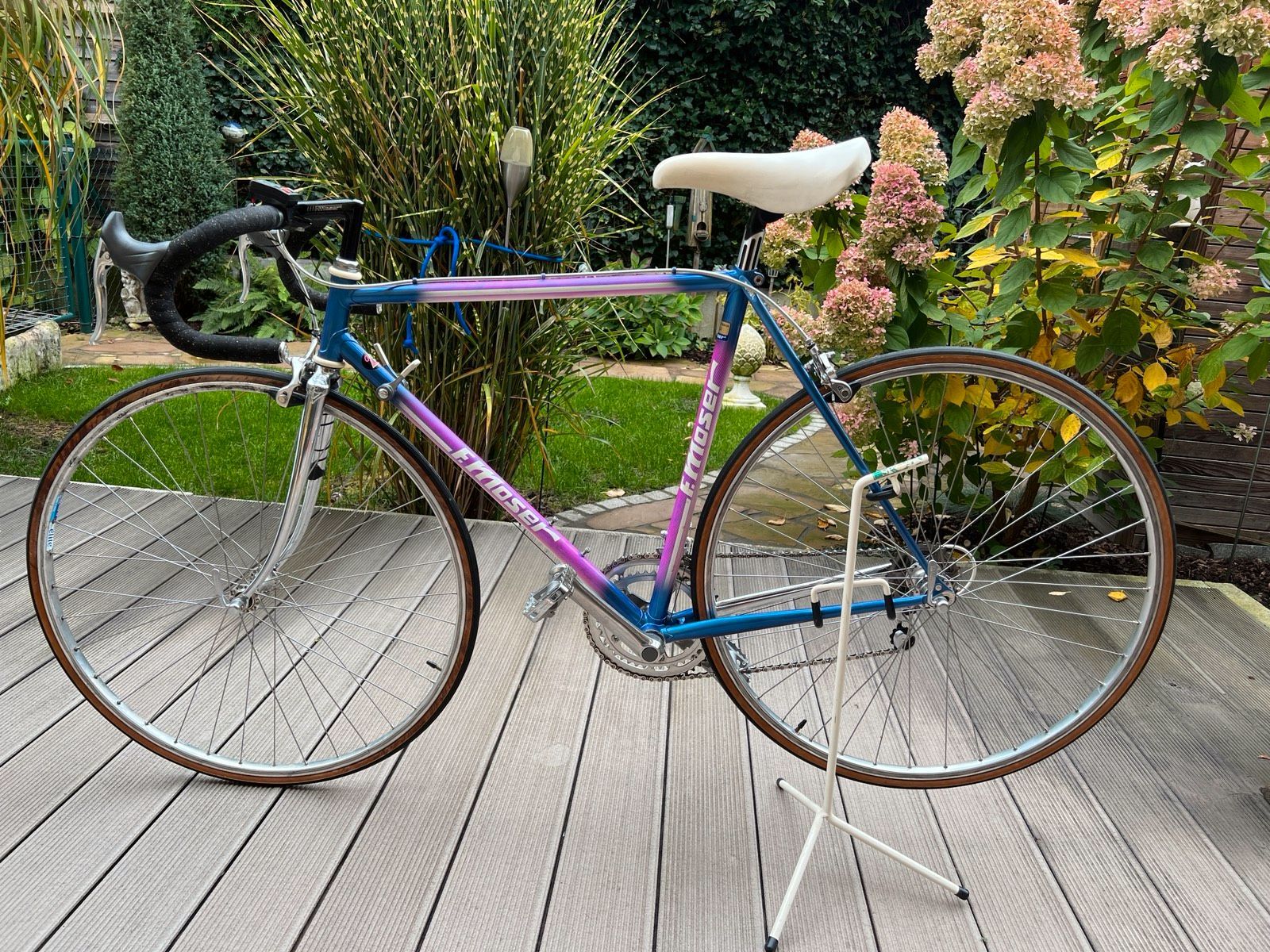 Moser.jpg