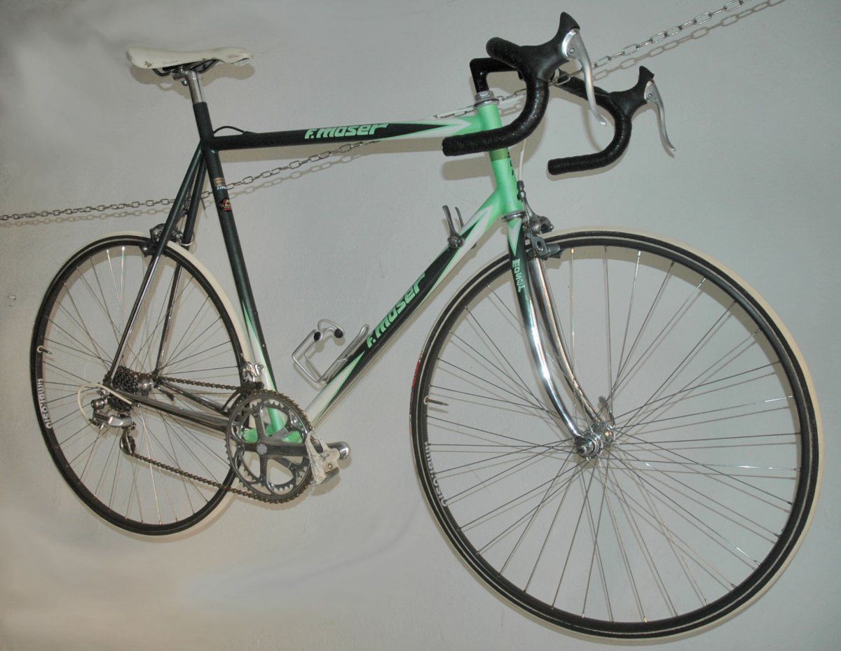 Moser Leader ax_02.jpg