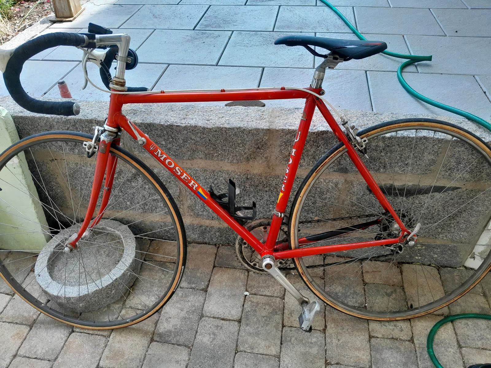 moser.png