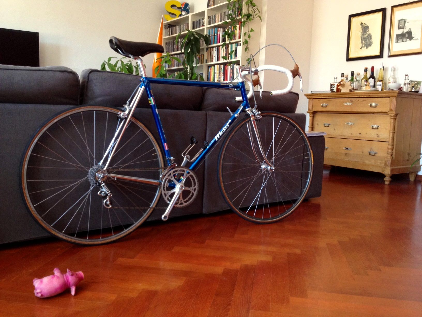 Moser2.JPG