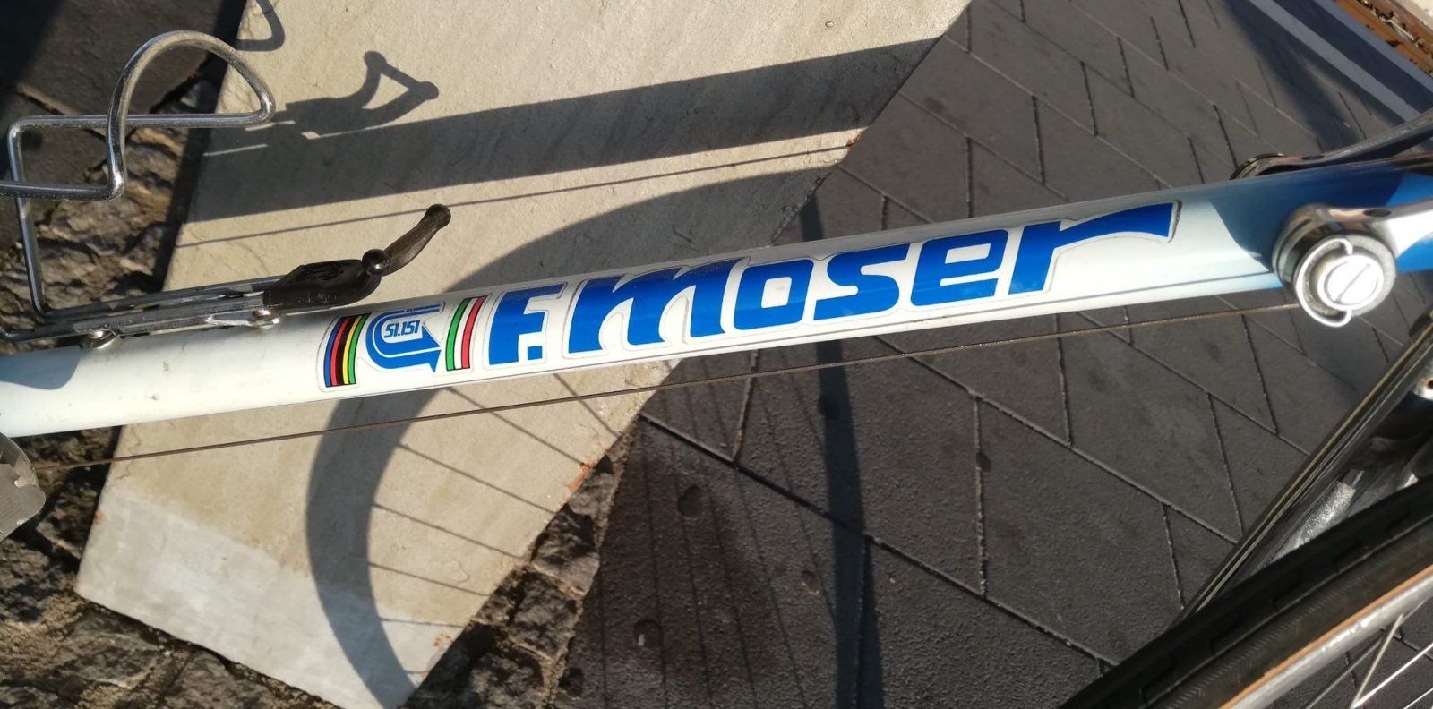 moser3.jpeg