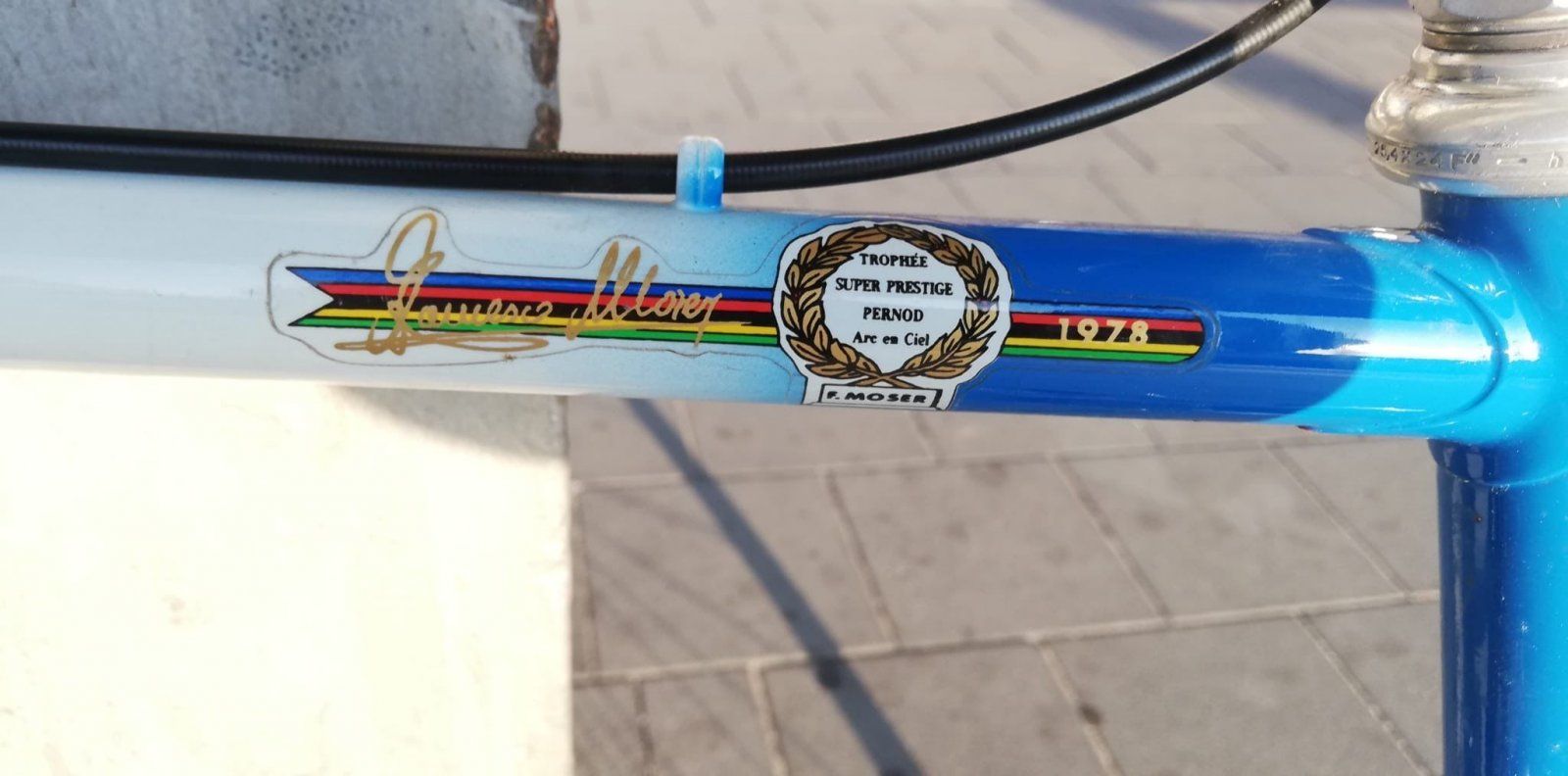 moser4.jpeg