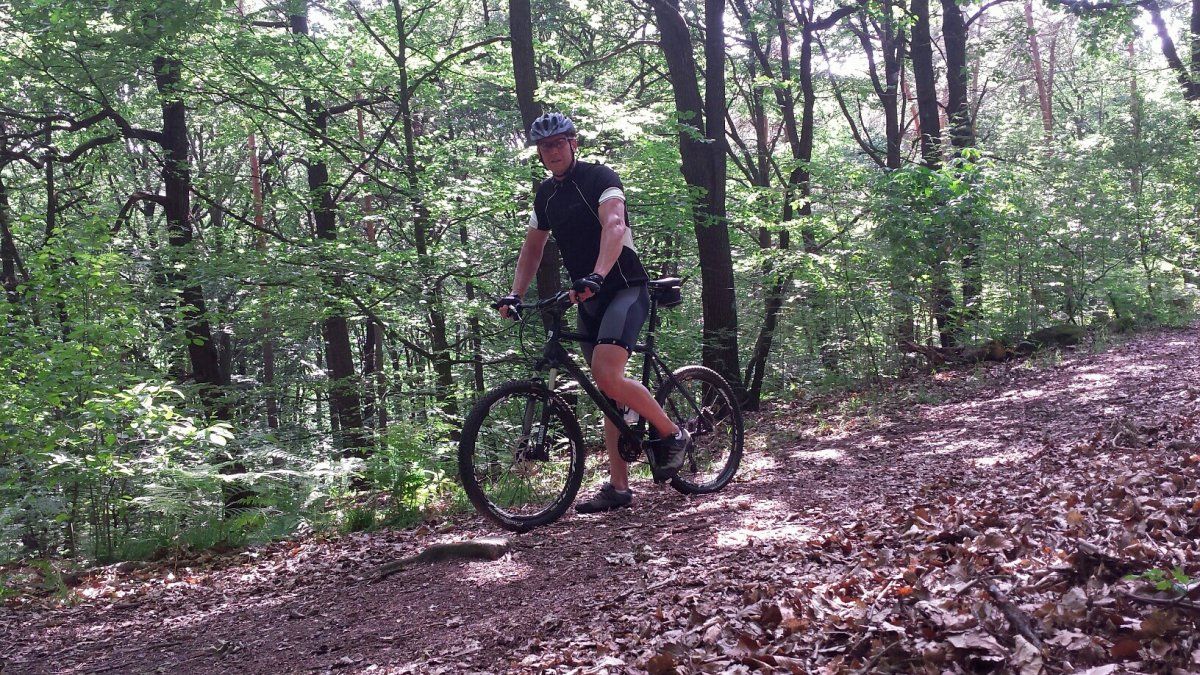 mtb.jpg