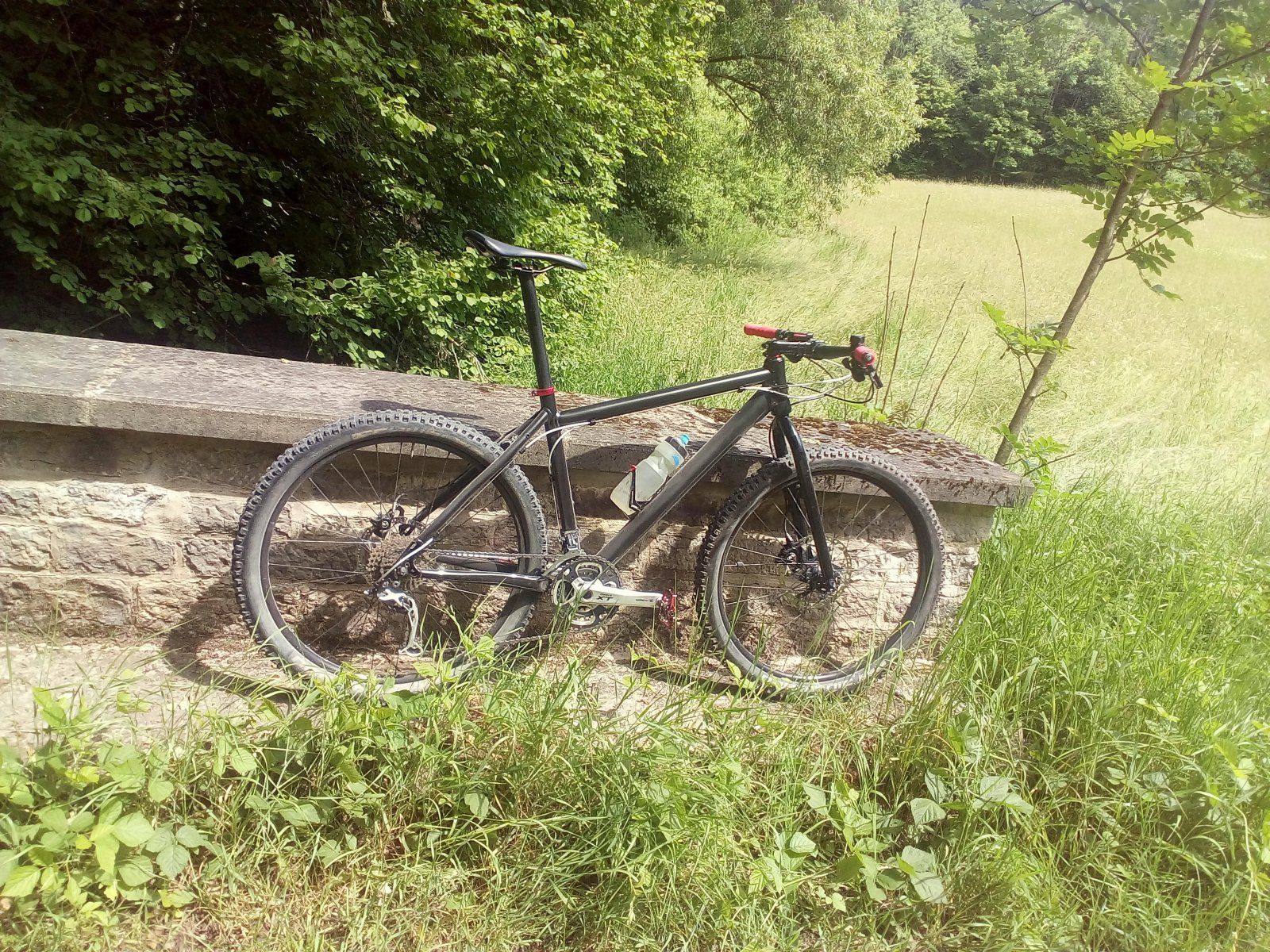 mtb_neu.jpg