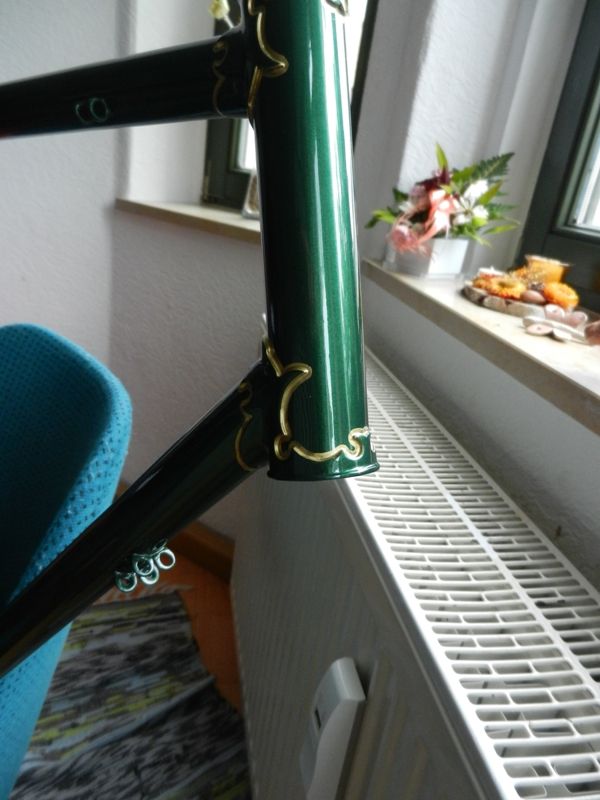Muffenlinien 002.jpg