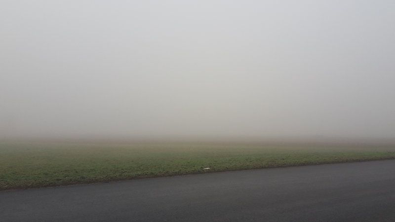 nebel04.jpg
