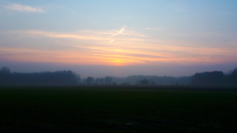 nebelabend.jpg