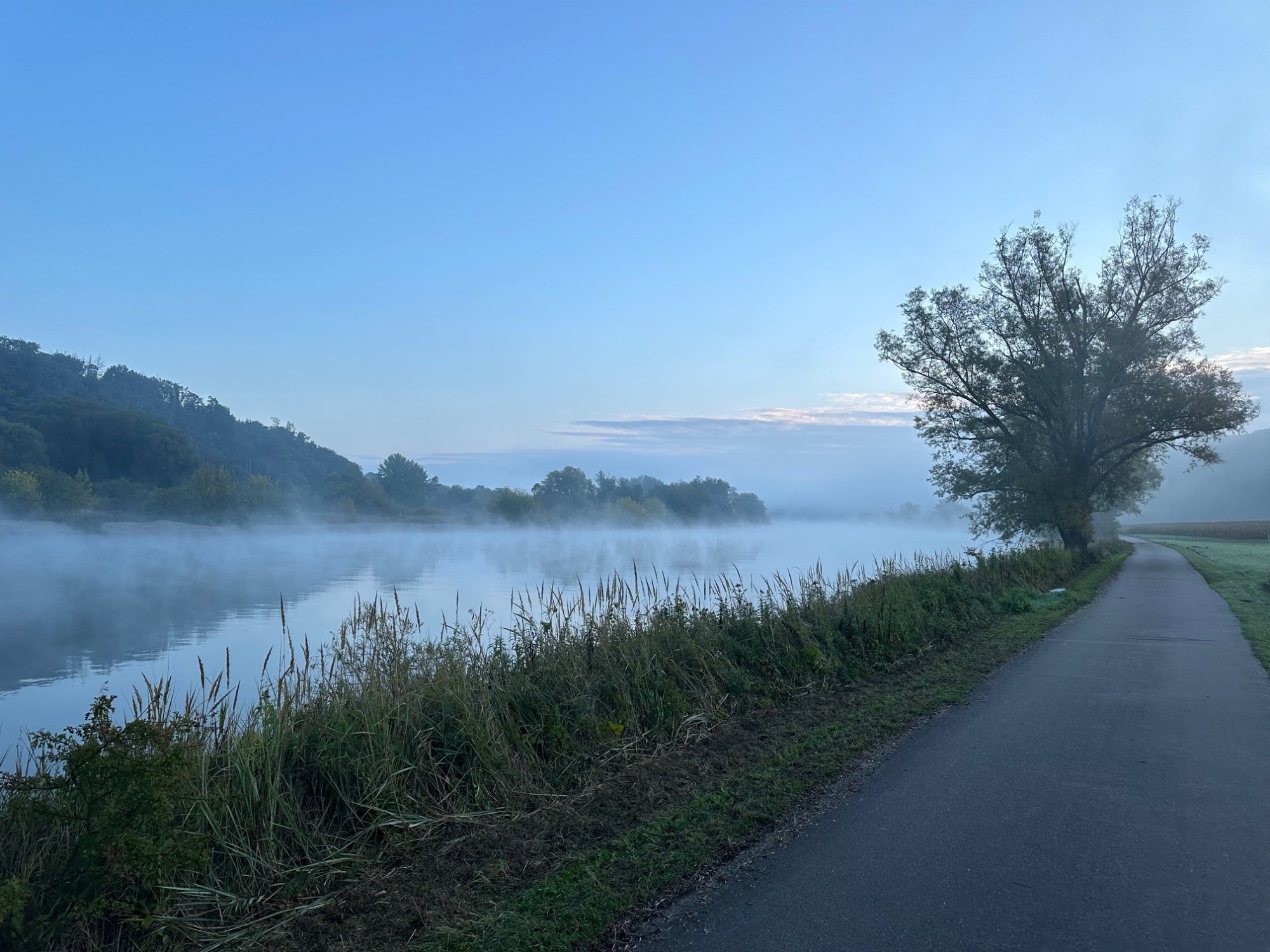 nebeldonau.jpg