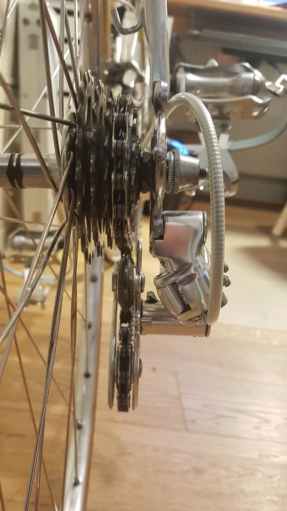 nishiki_mit_superbe_1024x576.jpg