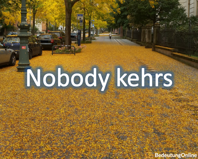 Nobody-kehrs-768x617.png