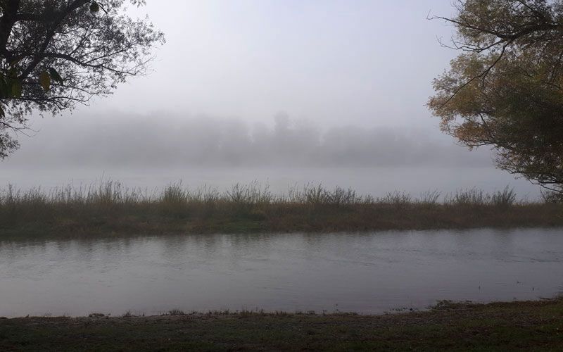 novembernebel.jpg