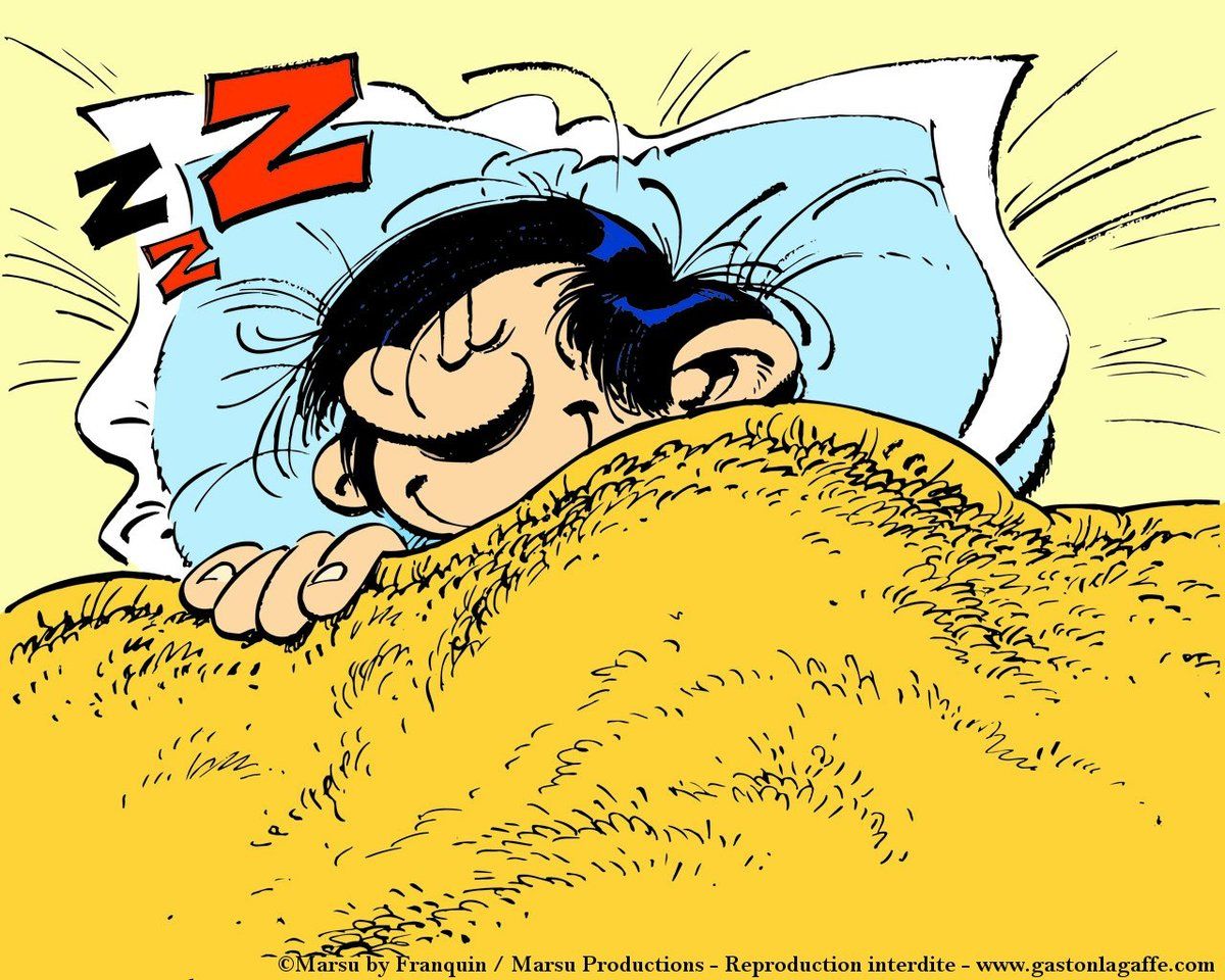 ob_87f19988eb4c58e0d7128a878d6c8021_gastonlagaffe-com-08.jpg
