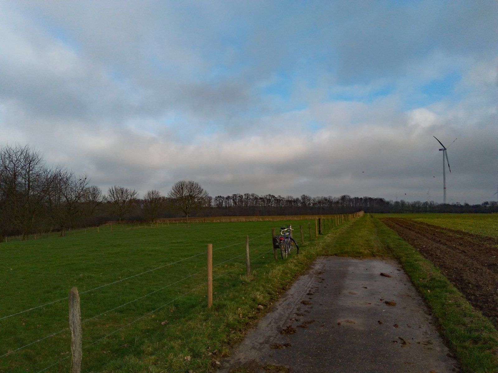 Oberhalb des Weges zwischen Beeck und Lindern, an der Kreisgrenze.jpg