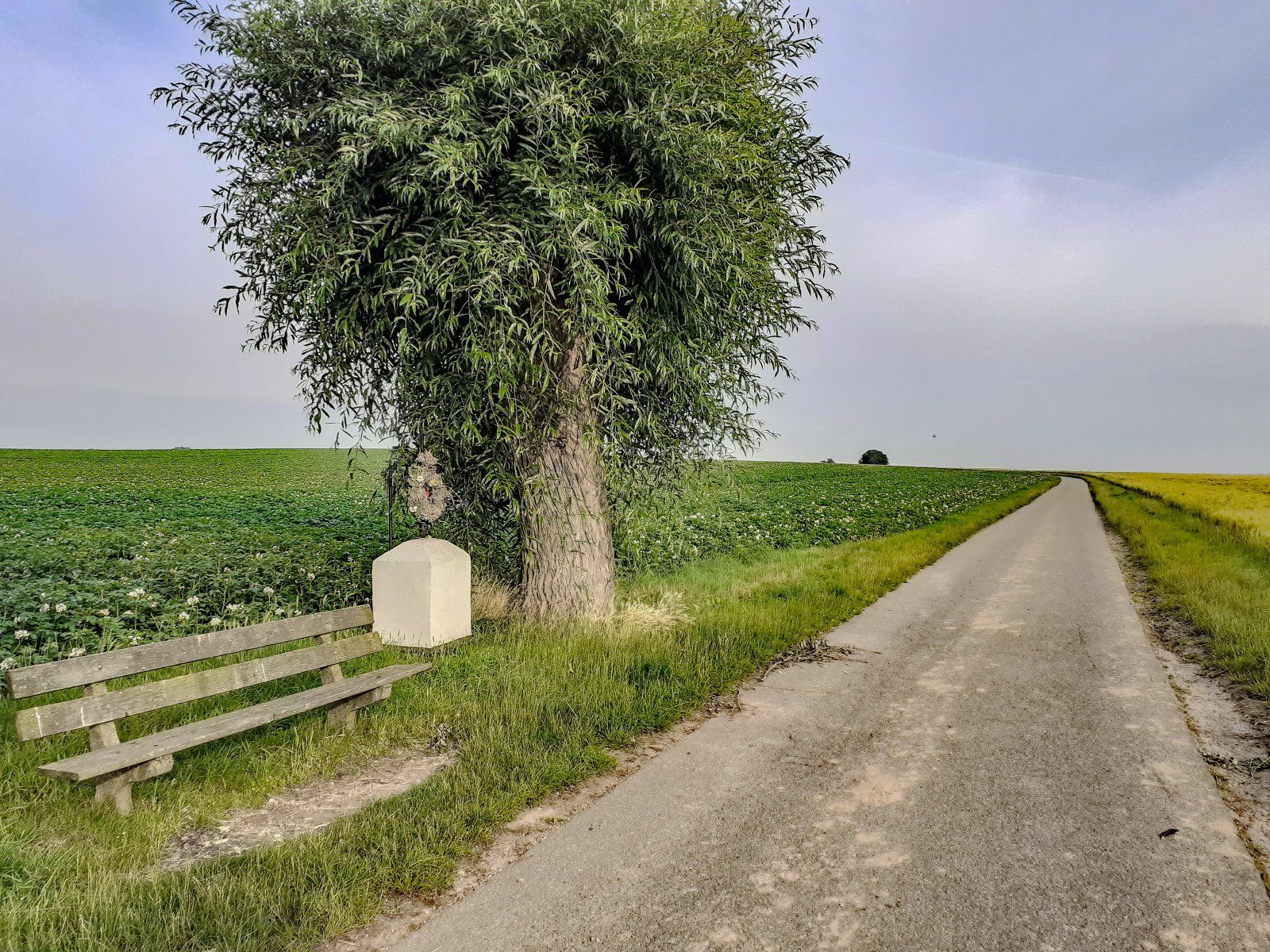 Oberhalb Rimburg 1.jpg
