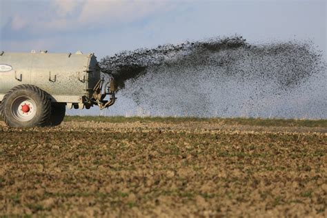OIP-313092706.jpg