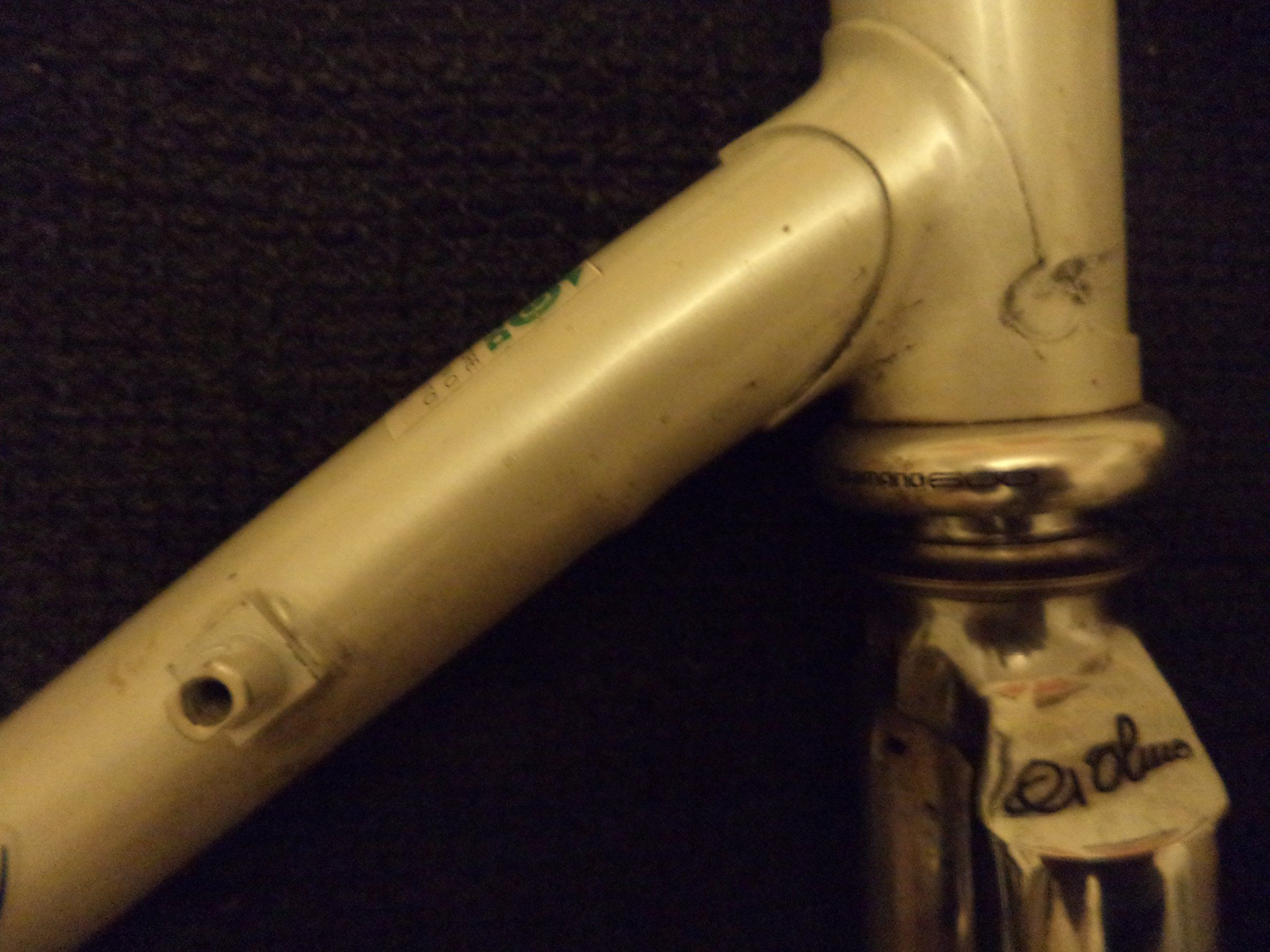 olmo 005.JPG