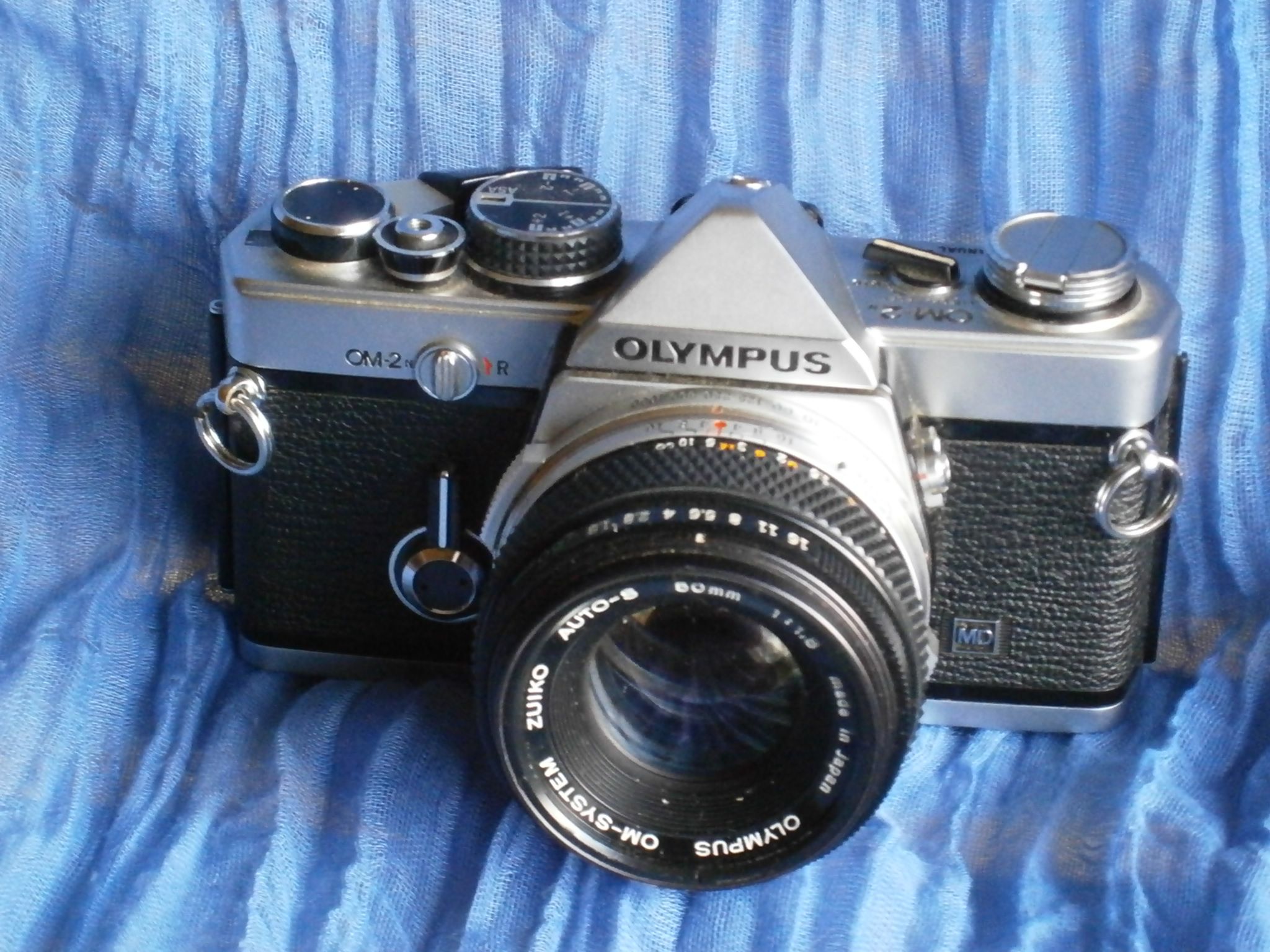 OM 2.JPG