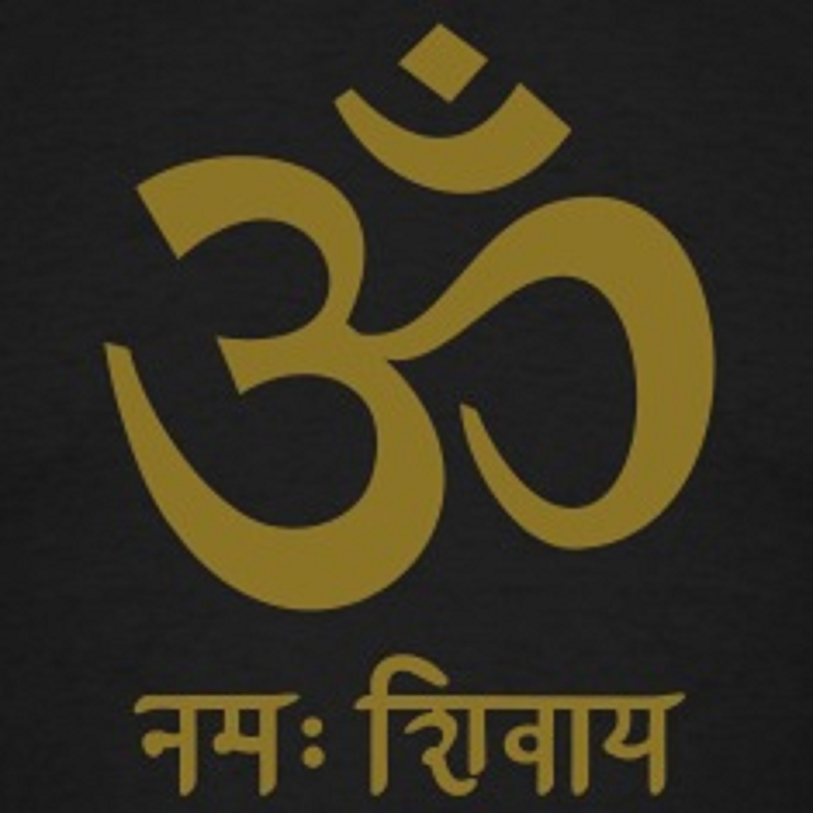 Шивайя нама ом значение. Om Namah Shivaya санскрит. Ом Намах Шивая на санскрите. Мантра ом Намах Шивайя на санскрите. Ом надпись на санскрите.
