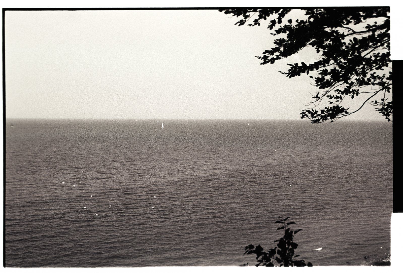 ostsee juni 1.jpg