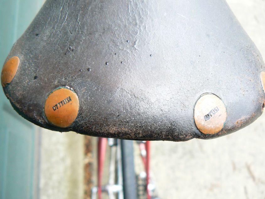 Ottusi saddle.JPG